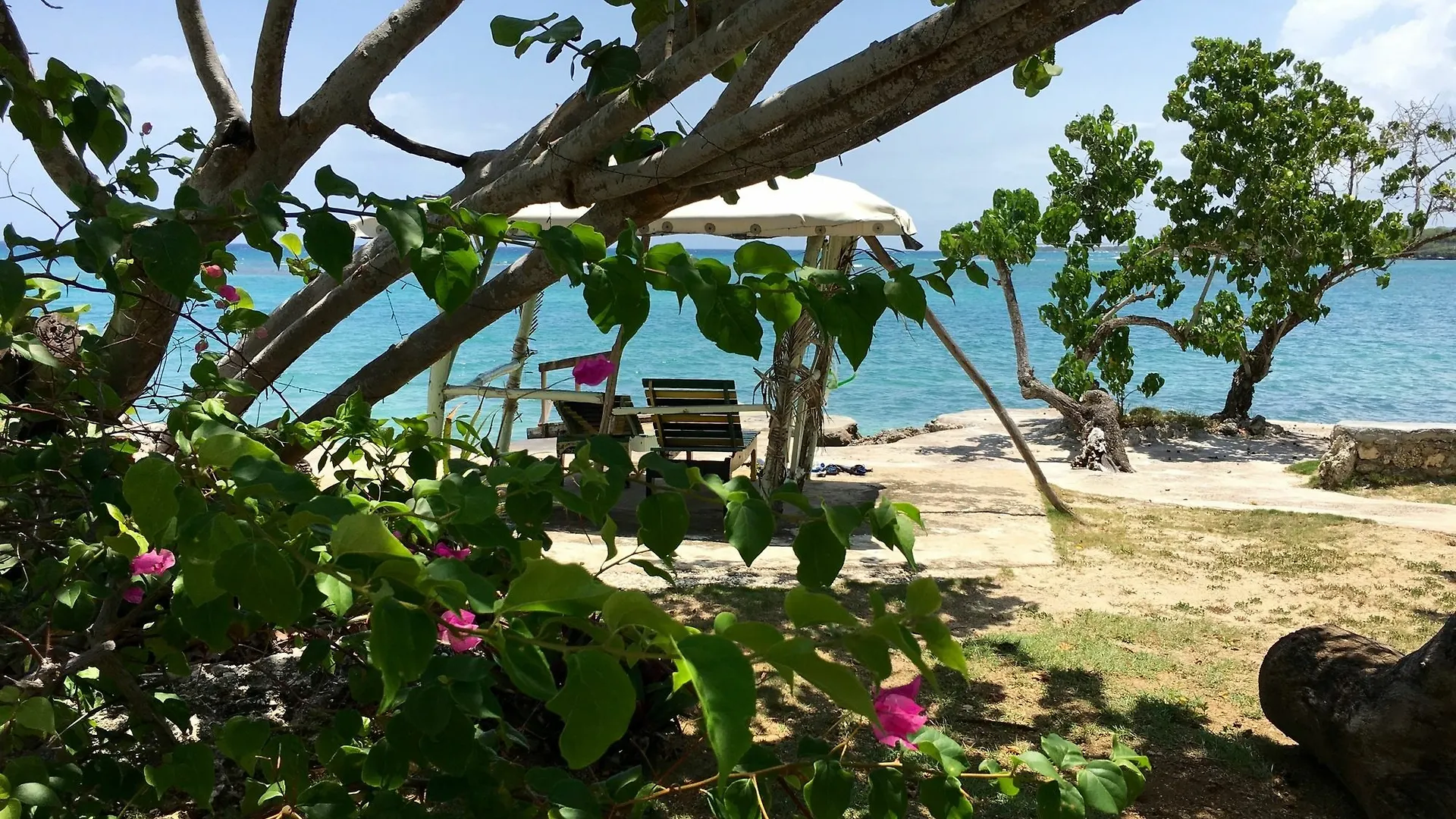Little Bay Cabins ג'מייקה