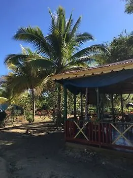 Little Bay Cabins