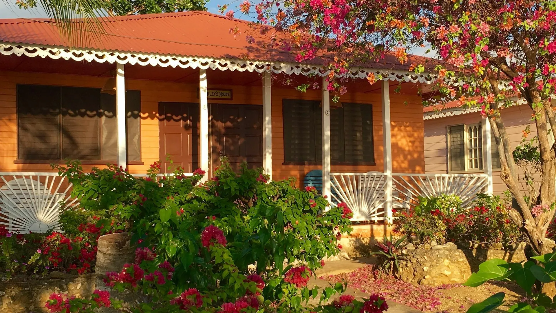 Little Bay Cabins