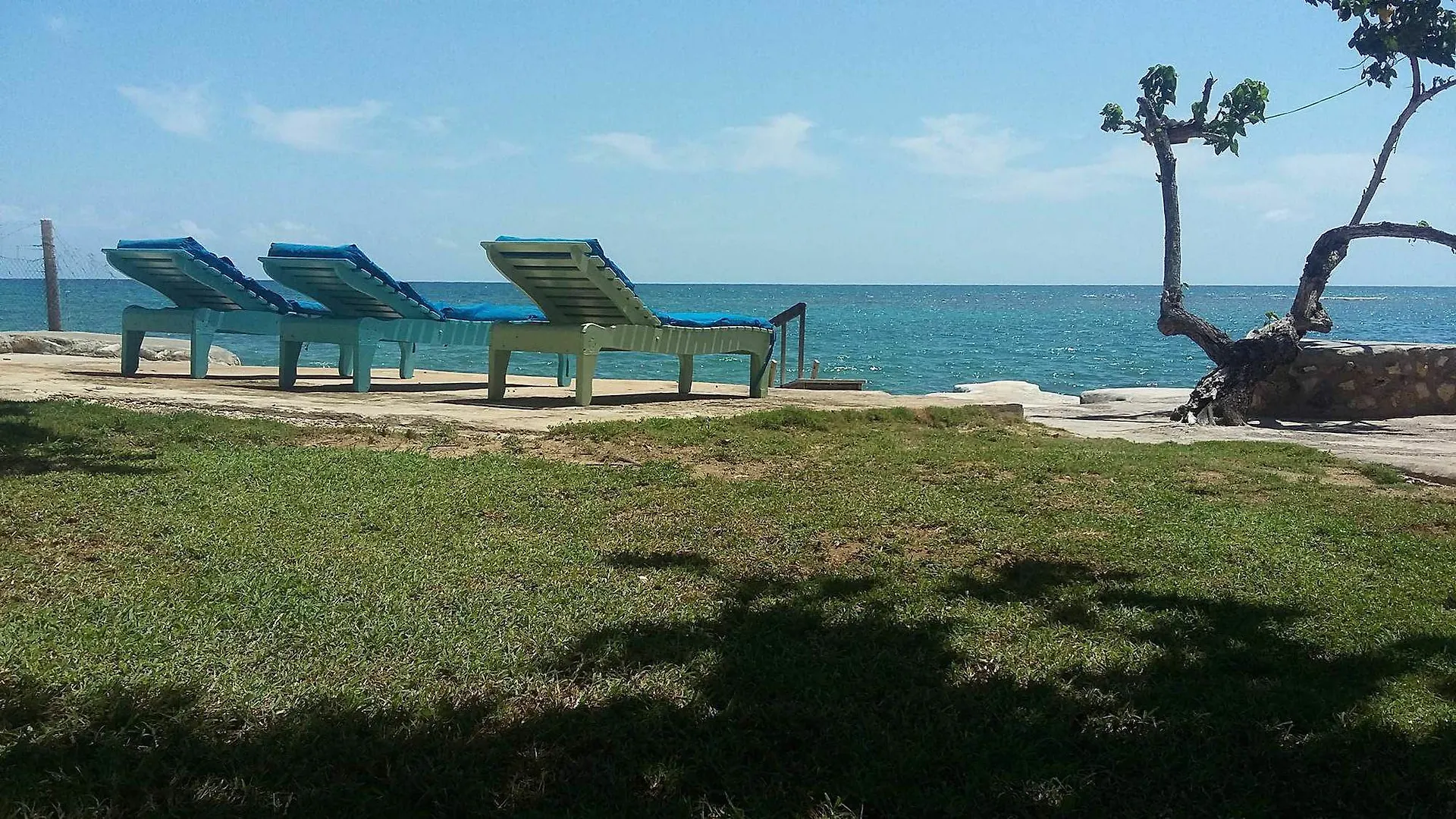 Little Bay Cabins